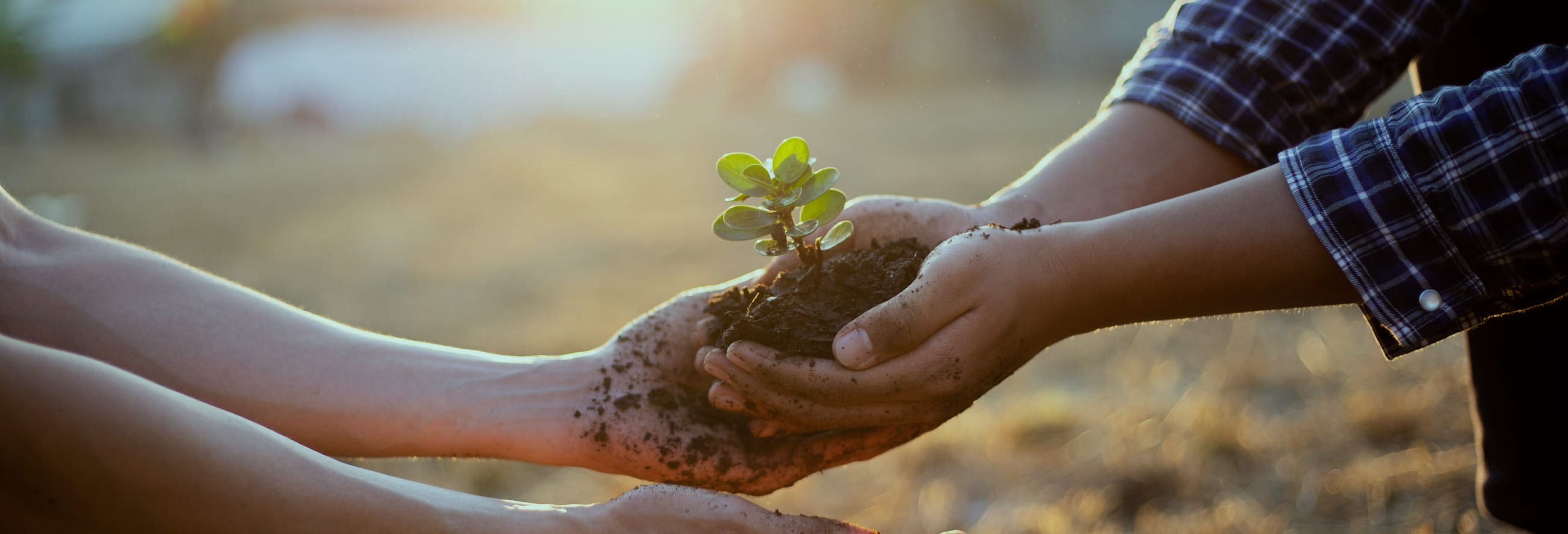 09df21bc88b84eb5591eb23e7c664794