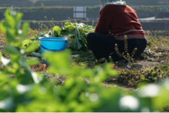 b9998e39a00e659818077d267ec8b80f